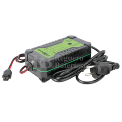 Cargador bateras Agm Gel Wet Mf LiFePO4 12V 24V