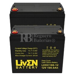 2 Bater�as Liven Battery LVDC100-12 | 12 voltios 100 amperios Ciclo Profundo