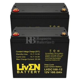 2 Bater�as Liven Battery LVDC100-12 | 12 voltios 100 amperios Ciclo Profundo