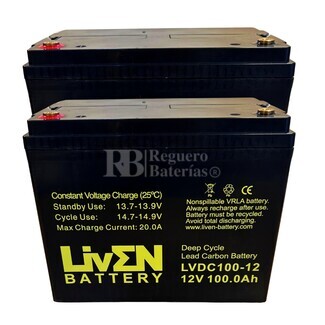 2 BateraS 12 voltios 100 amperios LVDC100-12 Ciclo Profundo