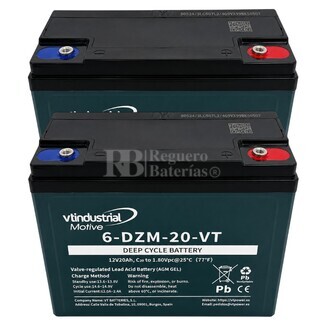 2 Bater�as 12 Voltios 20 Amperios VT 6-DZM-20-VT