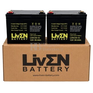 2 Bater�as 12 voltios 39 amperios LVDC39-12 Ciclo Profundo