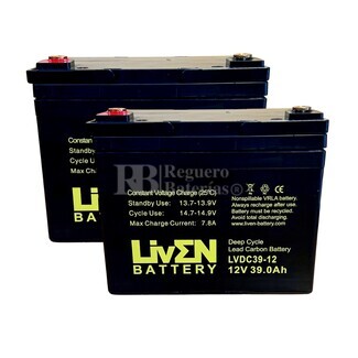 2 Bateras 12 voltios 39 amperios LVDC39-12 Ciclo Profundo
