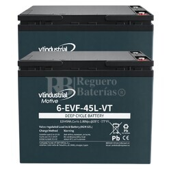 2 Bater�as 6-EVF12-45-L | 12 Voltios 45 Amperios Ciclo Profundo