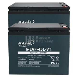 2 Bater�as 6-EVF12-45-L | 12 Voltios 45 Amperios Ciclo Profundo