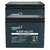 2 Bater�as 6-EVF12-45-L | 12 Voltios 45 Amperios Ciclo Profundo