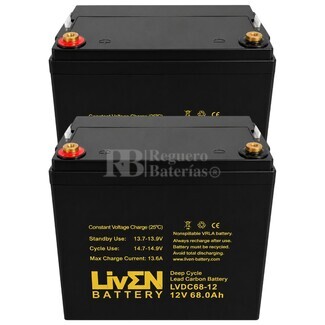2 Bater�as LIVEN LVDC68-12 (12V 68Ah) – Plomo Carbono GEL Ciclo Profundo (VRLA)