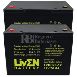 2 Bater�as 12 voltios 76 amperios LVDC76-12 Ciclo Profundo