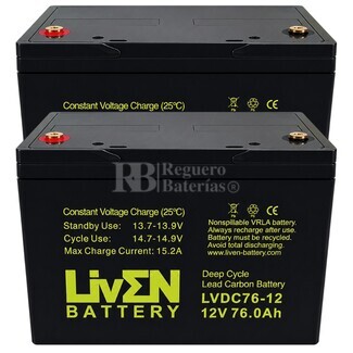 2 Bater�as 12 voltios 76 amperios LVDC76-12 Ciclo Profundo