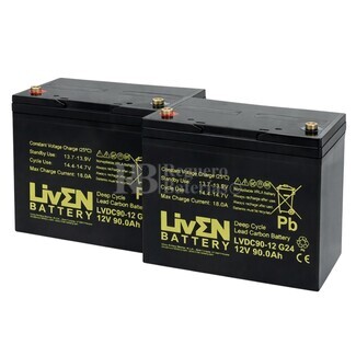 2 Bater�as 12 Voltios 90 Amperios Ciclo Profundo LVDC90-12 G24