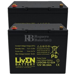 2 Bater�as 12 Voltios 90 Amperios Ciclo Profundo LVDC90-12 G24