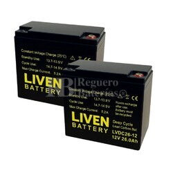 2 Bateras 12V 26Ah LVDC26-12, Energa confiable para scooters elctricos
