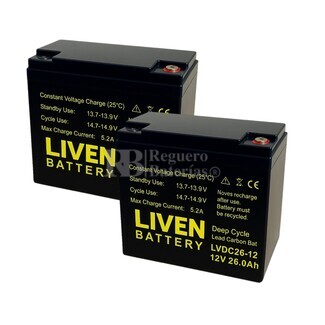  2 Bateras 12V 26Ah LVDC26-12, Energa confiable para scooters elctricos