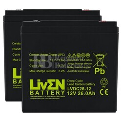 2 Bater�as 12V 26Ah LVDC26-12, Soluci�n ideal para veh�culos de movilidad el�ctrica