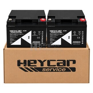 2 Bater�as 12V 50Ah HEYCAR HA12-50G EV VRLA Ciclo Profundo para Movilidad El�ctrica