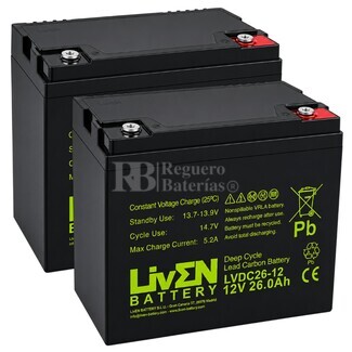 2 Bater�as  2LVDC26-12 12V 26Ah Ciclo Profundo, Energ�a estable para sillas de ruedas el�ctricas