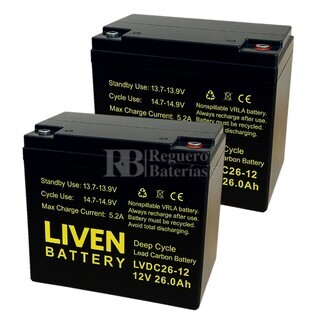 2 Bateras  2LVDC26-12 12V 26Ah Ciclo Profundo, Energa estable para sillas de ruedas elctricas