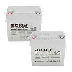 2 Bateras Aokly 6GFM55G de Gel 12 Voltios 55 Amperios Sillas Movilidad