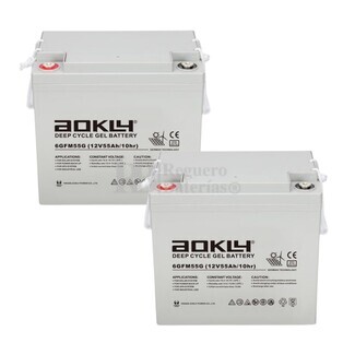 2 Bateras Aokly 6GFM55G de Gel 12 Voltios 55 Amperios Sillas Movilidad