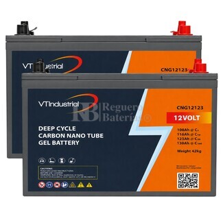 2 Bater�as Caravana Gel 12V 123Ah CNG12123