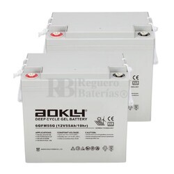 2 Bateras de Gel para Scooter 12 Voltios 55 Amperios 6GFM55G