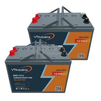 2 Bateras de traccin GEL 12 Voltios 92 Amperios C100