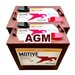 2 bateras embarcacin AGM 6 voltios 225 amperios Trojan T105 AES