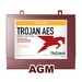 2 bateras fregadora AGM 6 voltios 141 amperios Trojan T1275 AES