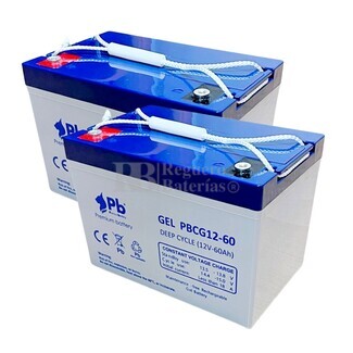 2 Bateras Gel 12 Voltios 60 Amperios PBCG12-60