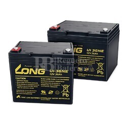 2 Bater�as AGM 12 Voltios 36 Amperios Long U1-36NE