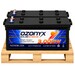 2 Bater�as OZX250.A 250Ah para Almacenamiento de Energ�a Solar