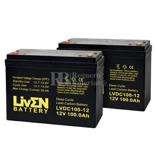 2 Bater�as para fregadoras 100 Amperios 12 Voltios Ciclo Profundo LVDC100-12