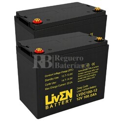2 Bater�as para fregadoras 100 Amperios 12 Voltios Ciclo Profundo LVDC100-12