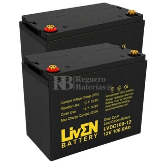 2 Bater�as para fregadoras 100 Amperios 12 Voltios Ciclo Profundo LVDC100-12