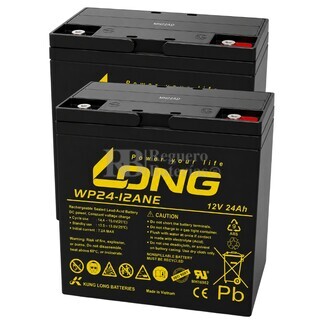 2 Bater�as Silla Movilidad 12 Voltios 24 Amperios Long WP24-12ANE