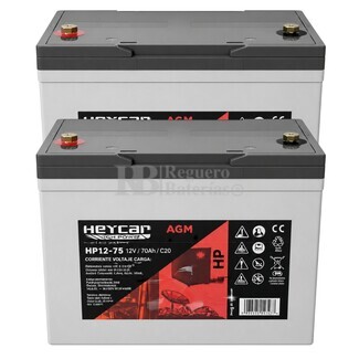 2 Bater�as Silla movilidad 12 Voltios 75 Amperios HP12-75
