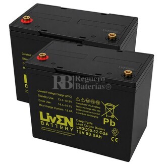 2 Bater�as Silla Movilidad 12 Voltios 90 Amperios LVDC90-12 GC2