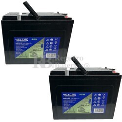 2 Bateras Sillas Movilidad 12 Voltios 55 Amperios Carbon Gel