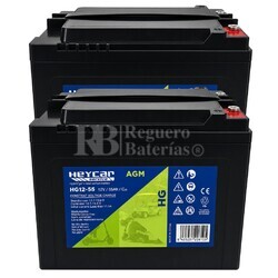 2 Bater�as Movilidad 12 Voltios 55 Amperios Carbon Gel