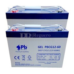 2 Bateras Sillas Movilidad Gel 12 Voltios 60 Amperios PBCG12-60