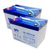 2 Bateras Sillas Movilidad Gel 12 Voltios 60 Amperios PBCG12-60