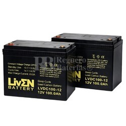 2 Bater�as transpaleta 100 Amperios 12 Voltios Ciclo profundo LVDC100-12