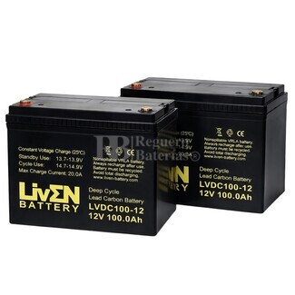 2 Bater�as transpaleta 100 Amperios 12 Voltios Ciclo profundo LVDC100-12