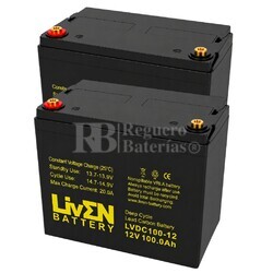 2 Bater�as transpaleta 100 Amperios 12 Voltios Ciclo profundo LVDC100-12