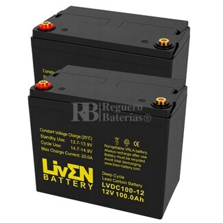 2 Bater�as transpaleta 100 Amperios 12 Voltios Ciclo profundo LVDC100-12