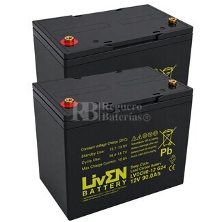 2 Bater�as Transpaleta El�ctrica 12 Voltios 90 Amperios LVDC90-12 GC2
