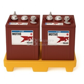 2 Bateras Trojan T-145 | 6 Voltios 287 Amperios C100
