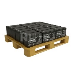 Pack 20 Baterías 12 Voltios 9 Amperios Phasak PHB1209
