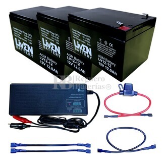 Batería de Respaldo 12V 12Ah: Almacenamiento de Energía Confiable para tus  sistemas electrónicos