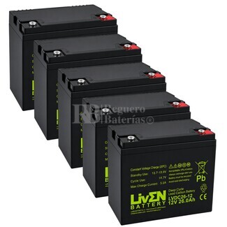 5 Bater�as LVDC26-12 12V 26Ah, Mayor duraci�n para viajes en moto el�ctrica
